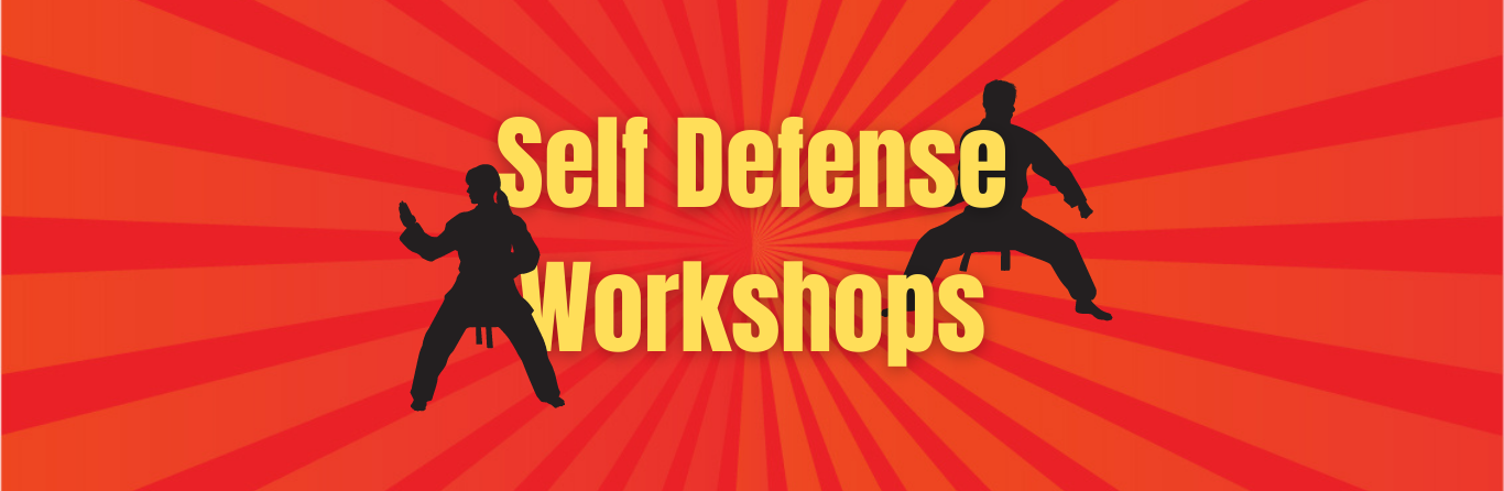Martial Arts Workshops (Desktop Landing Page)